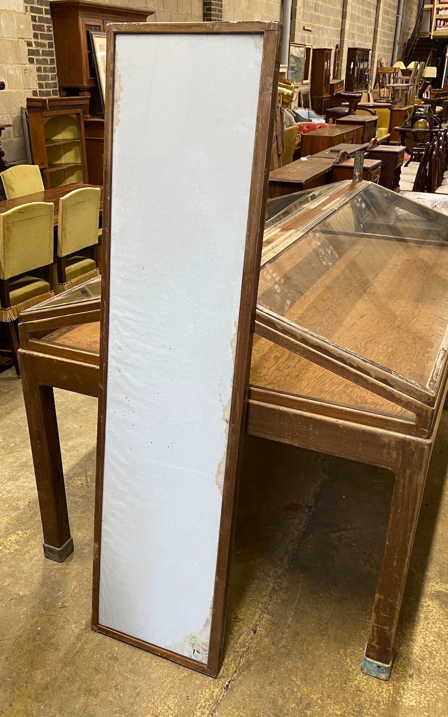 A mid century brass mounted mahogany museum specimen display cabinet with twin hinged slant top, width 184cm, depth 123cm.